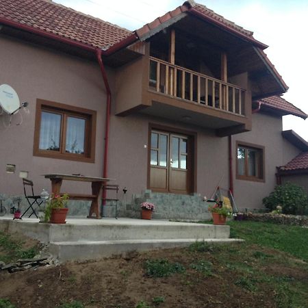 Casa Darius Villa Novaci-Străini Exteriör bild