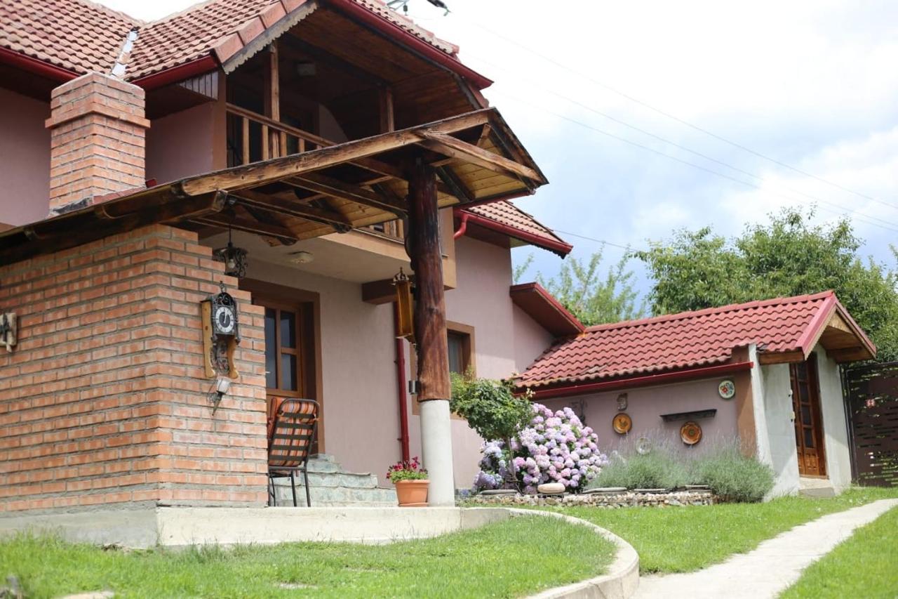 Casa Darius Villa Novaci-Străini Exteriör bild