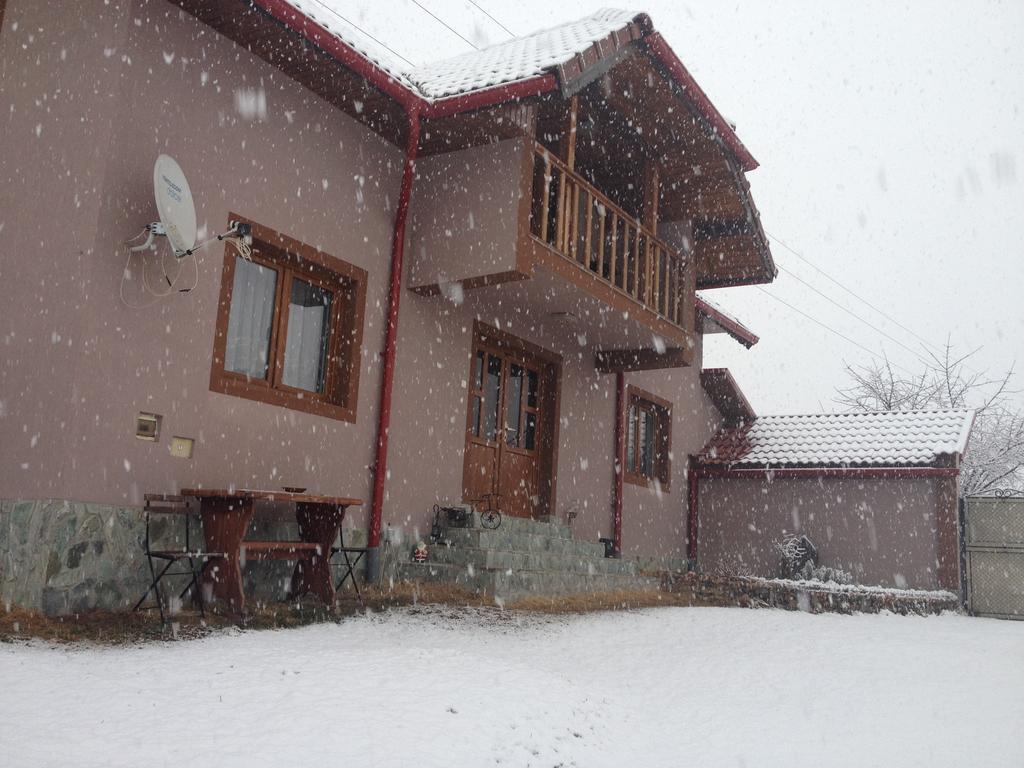 Casa Darius Villa Novaci-Străini Exteriör bild